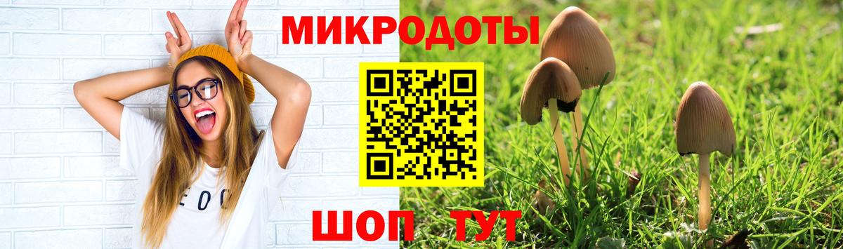 Псилоцибиновые грибы ЛСД  Псилоцибиновые грибы ЛСД  как найти   Кохма  Вход с VPN 