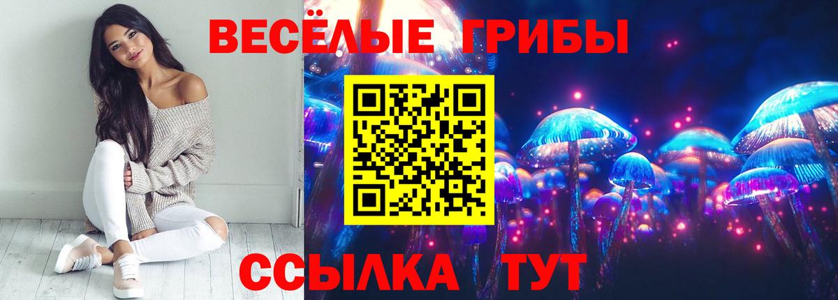 Псилоцибиновые грибы мицелий Кохма